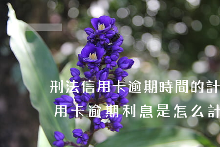 刑法信用卡逾期時間的計算方式-銀行的信用卡逾期利息是怎么計算的
