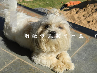 刑法修正案（十一）危險作業(yè)罪解析