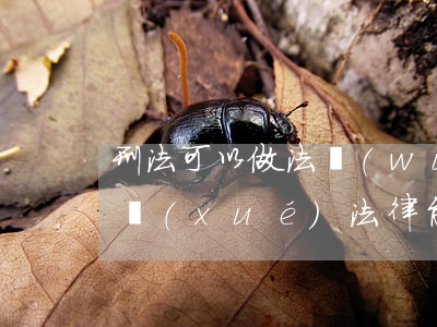 刑法可以做法務(wù)嗎(沒(méi)有學(xué)法律能去做法務(wù)嗎)
