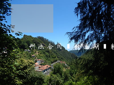 刑法合同貸款逾期(貸款逾期涉及的合同法)