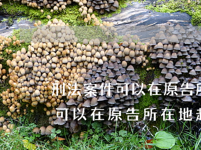 刑法案件可以在原告所在地起訴嗎(刑法案件可以在原告所在地起訴嗎)