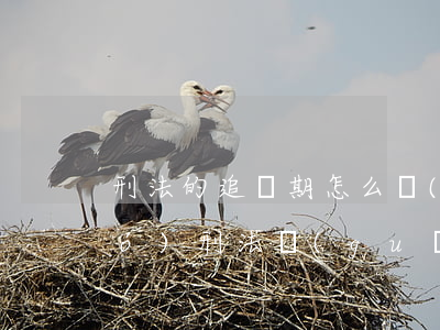 刑法的追訴期怎么計(jì)算(我國(guó)刑法規(guī)定的追訴期限是多少)