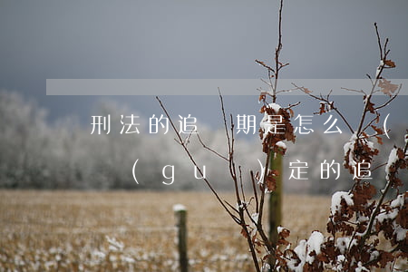 刑法的追訴期是怎么規(guī)定的(刑法規(guī)定的追訴期是多久)