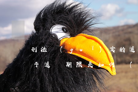 刑法規(guī)定的追訴期是多久(刑法對于追訴期限是如何規(guī)定的)