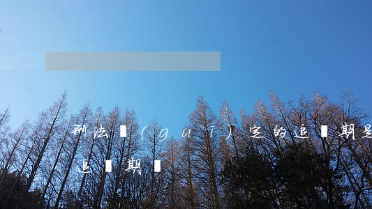 刑法規(guī)定的追訴期是多久(刑法有追訴期嗎)