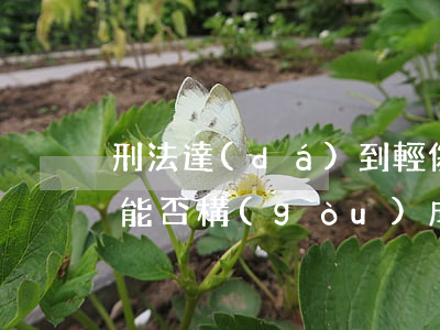 刑法達(dá)到輕傷不立案可以嗎(輕微傷能否構(gòu)成刑事立案)