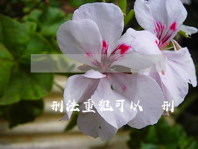 刑法重犯可以緩刑嗎(緩刑還能減刑么)