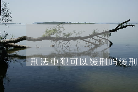 刑法重犯可以缓刑吗(缓刑还能减刑么)