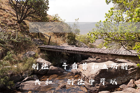 刑法關于自首和立功的規定是什么（中華人民共和國刑法中可以從輕處罰的情節有哪些）
