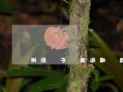 刑法關于貸款逾期(貸款逾期是刑事案件嗎)