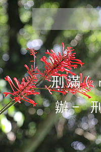 刑滿(mǎn)釋放人員信用卡逾期了怎么辦-刑滿(mǎn)釋放人員信用卡逾期了怎么辦理