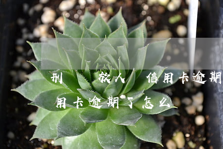 刑滿釋放人員信用卡逾期了(刑滿釋放人員信用卡逾期了怎么辦)