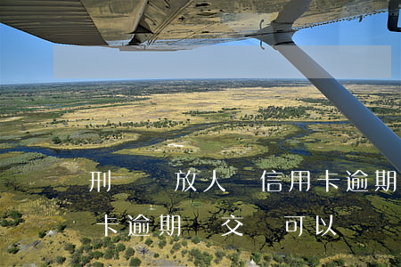 刑滿釋放人員信用卡逾期(刑滿釋放人員信用卡逾期補交錢可以車貸款)