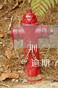 刑滿釋放后信用卡逾期怎么辦(服刑后信用卡逾期了)