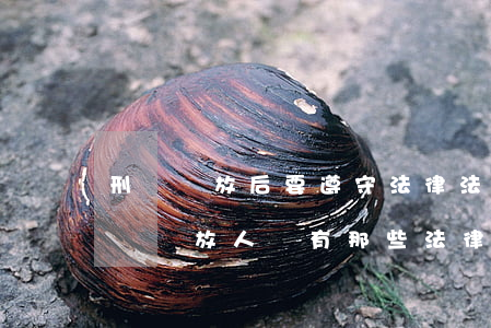 刑滿釋放后要遵守法律法規(guī)(刑滿釋放人員有那些法律規(guī)定的權(quán)利)