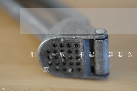 刑滿釋放還不起貸款怎么辦（刑滿釋放還不起貸款）