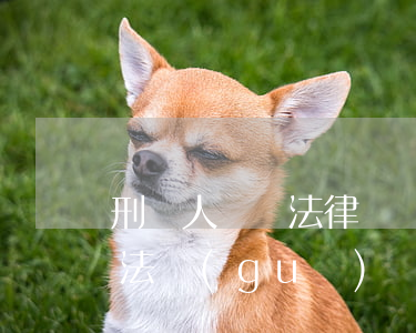 刑緩人員學法律體會(緩刑人員學法筆記,法律法規(guī))