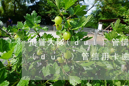 刑警大隊(duì)管信用卡逾期(刑警大隊(duì)管信用卡逾期)