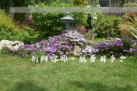 刑辩律师一般费用多少