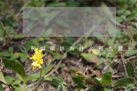 刑辯律師為什么那么難(刑辯律師為什么那么難)
