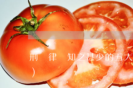 刑辯律師知之甚少的五大辯護形態(tài)