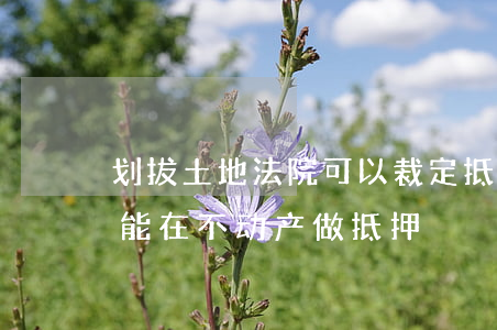 划拔土地法院可以裁定抵债吗(划拨土地能不能在不动产做抵押?)