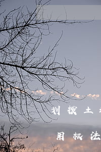 划拨土地可以法院拍卖吗(对国有划拨土地使用权法院能否拍卖)