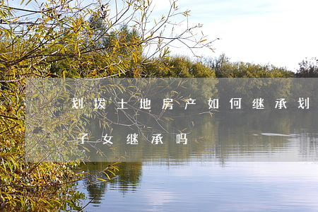 划拨土地房产如何继承(划拨土地的房子能给子女继承吗?)
