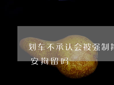 划车不承认会被强制拘留吗(故意划车会被治安拘留吗)
