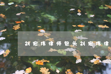 刘宏伟律师(包头刘宏伟律师)