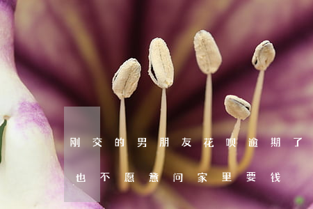 刚交的男朋友花呗逾期了(男朋友花呗逾期了也不愿意问家里要钱)