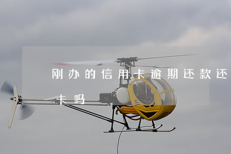刚办的信用卡逾期还款(还款逾期还能办信用卡吗)