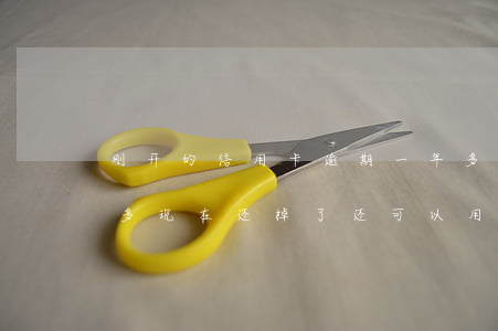 刚开的信用卡逾期一年多(我信用卡逾期一年多现在还掉了还可以用吗)