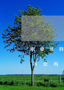 刚拿证的律师可以诉讼吗(刚拿证的律师可以诉讼吗)