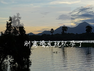 刚离婚发现怀孕了