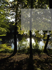 刚离婚女人就有新欢