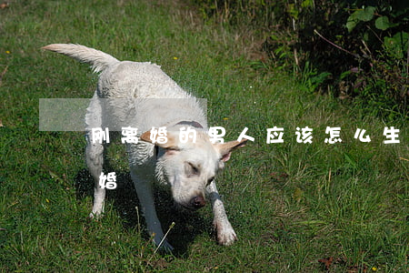 刚离婚的男人应该怎么生活(男人怎样才会离婚)