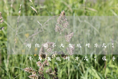刚结婚不久发现对方欠了很多网贷-刚结婚不久发现对方欠了很多网贷怎么办
