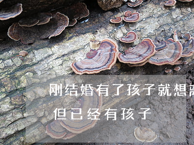 刚结婚有了孩子就想离婚了(我真的好想离婚但已经有孩子)