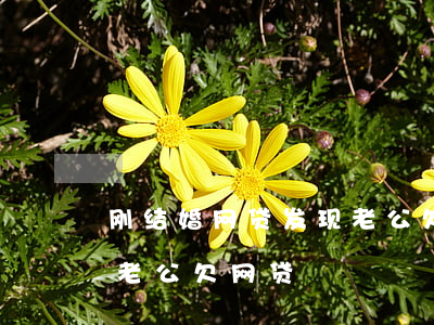 刚结婚网贷发现老公欠网贷(结婚以后才知道老公欠网贷)