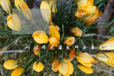 刚结婚老婆发脾气要离婚怎么办