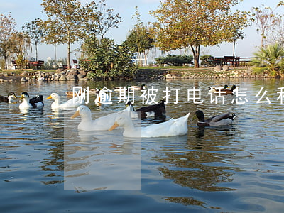 刚逾期被打电话怎么和客服协商-