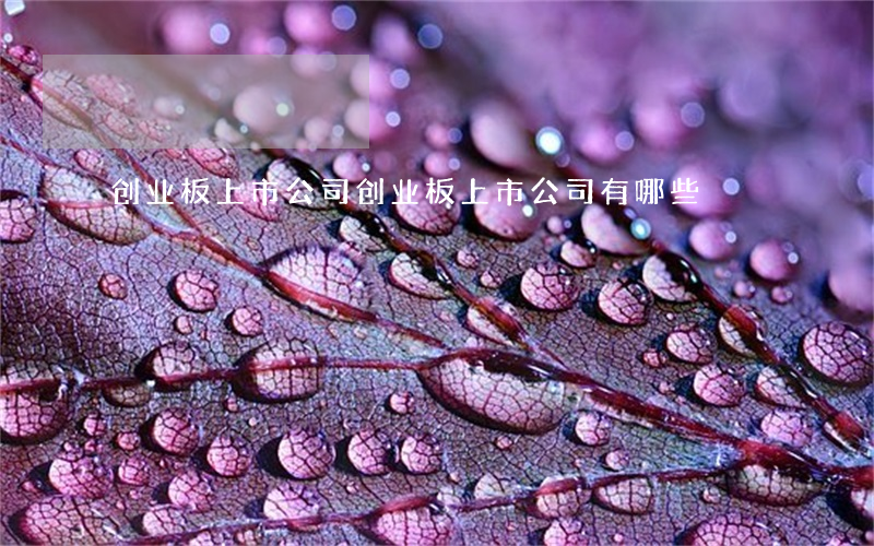 创业板上市公司(创业板上市公司有哪些)