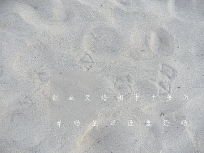 创业欠信用卡十多万-欠信用卡十几万会坐牢吗?坐牢还要还吗