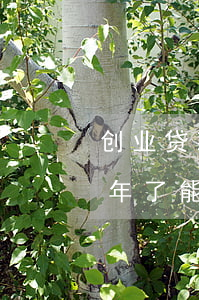 创业贷款还息逾期两天了(贷款逾期款还了两年了能贷款了吗)