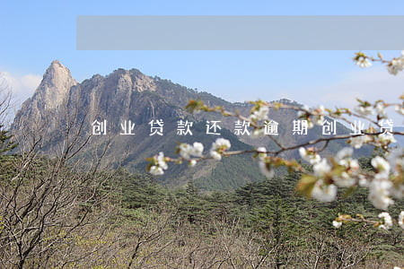 创业贷款还款逾期 创业贷款还款期限