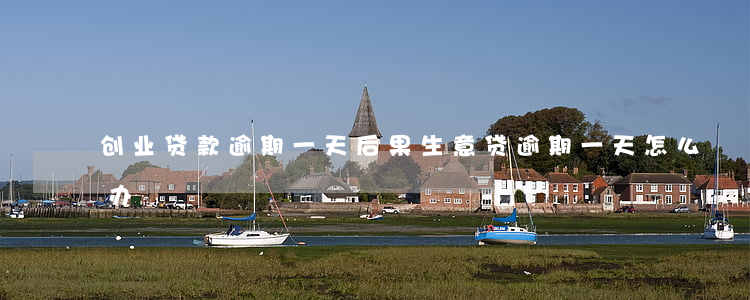 创业贷款逾期一天后果(生意贷逾期一天怎么办)