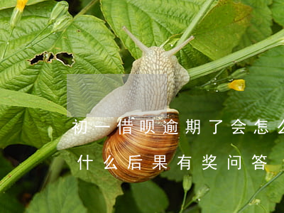 初一借呗逾期了会怎么样(借呗逾期七天会有什么后果?,有奖问答)