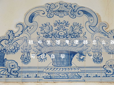 初中生想考律師怎么辦(初中畢業(yè)生可以自學(xué)考律師嗎)