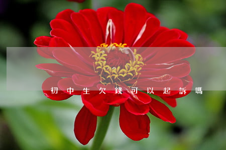 初中生欠錢可以起訴嗎